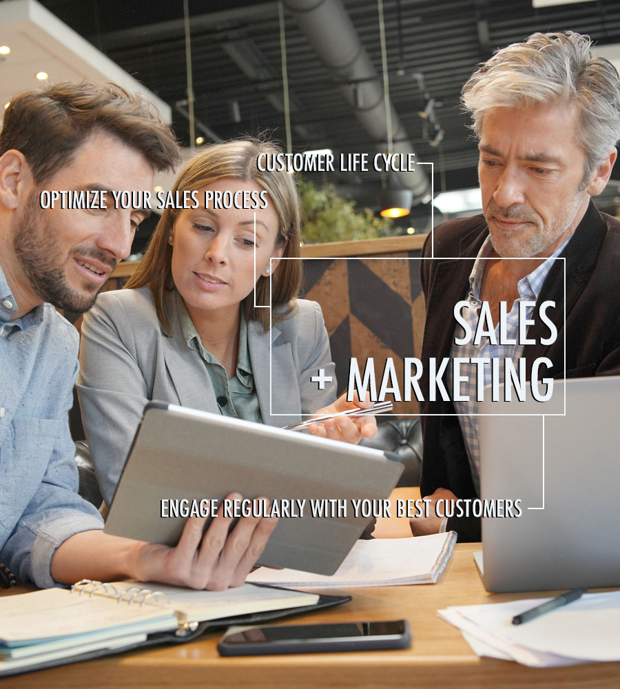 Maia-Interactive-how-sales-and-marketing-work-together